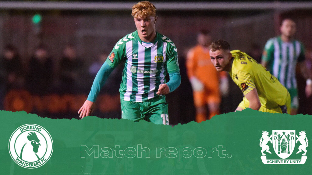 REPORT | Dorking Wanderers 1-1 Yeovil Town